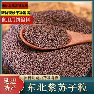 ��ș�� ���K�� �����K����  ���K�� �F�K��500�� /  ���г����K��