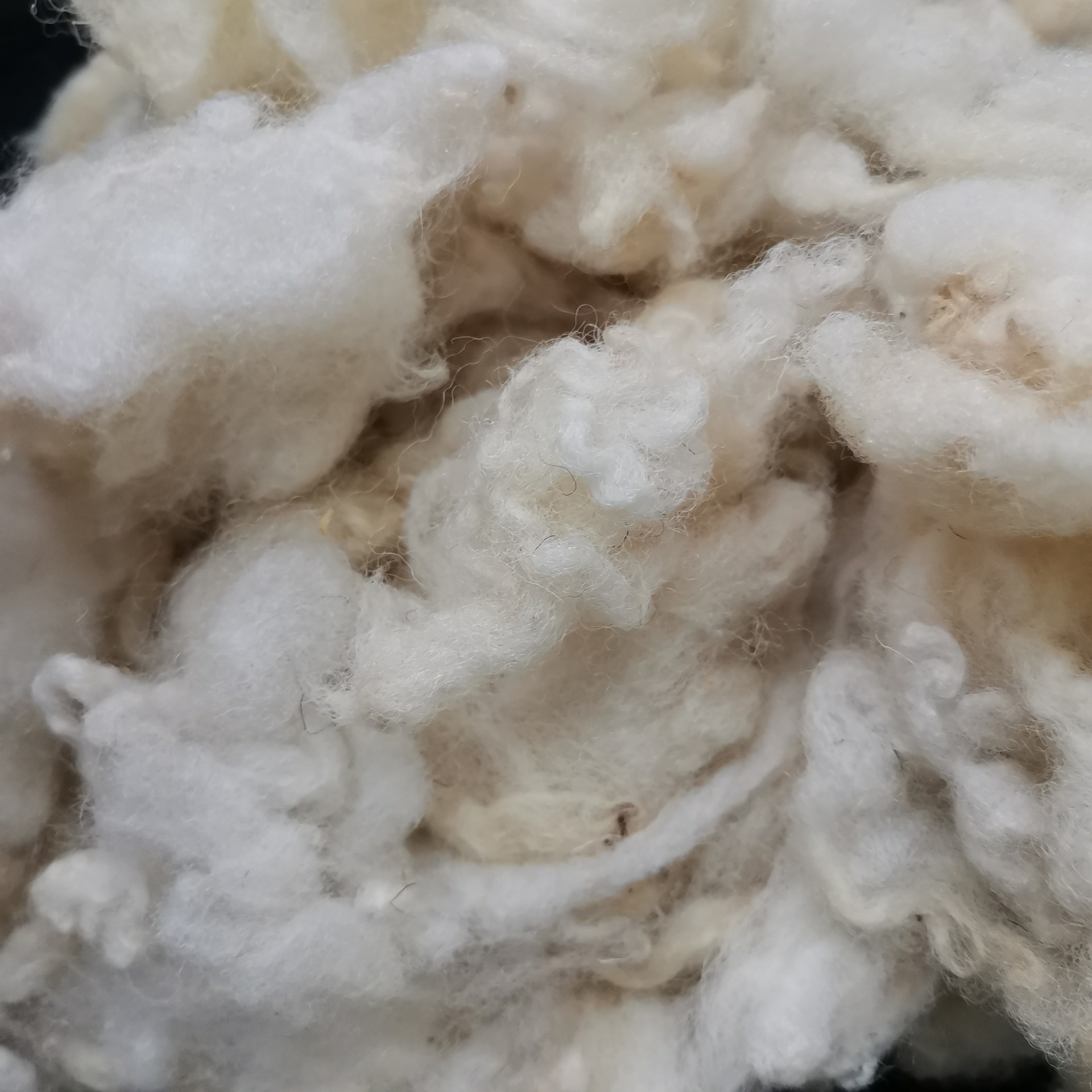 f6edf23ffcbcc374d6fdc1ae21e0f4