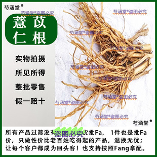 ޲���ʸ���ș��޲�׸����׸�޲���ʸ���ș�ĵ��ș�Ĵ�ȫ