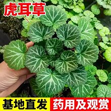 �������^�p��ș�Ãrֵ���rֲ��e�������X�绢�������Խ�z���~��