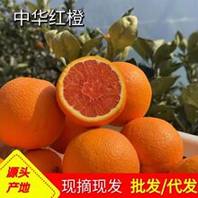 �������l���A�tѪ�����w�������r�t��ˮ��Ě�ȶ�֭�����r��