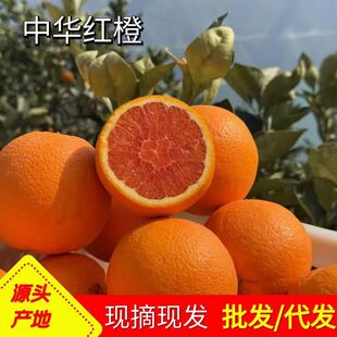 �������l���A�tѪ�����w�������r�t��ˮ��Ě�ȶ�֭�����r��