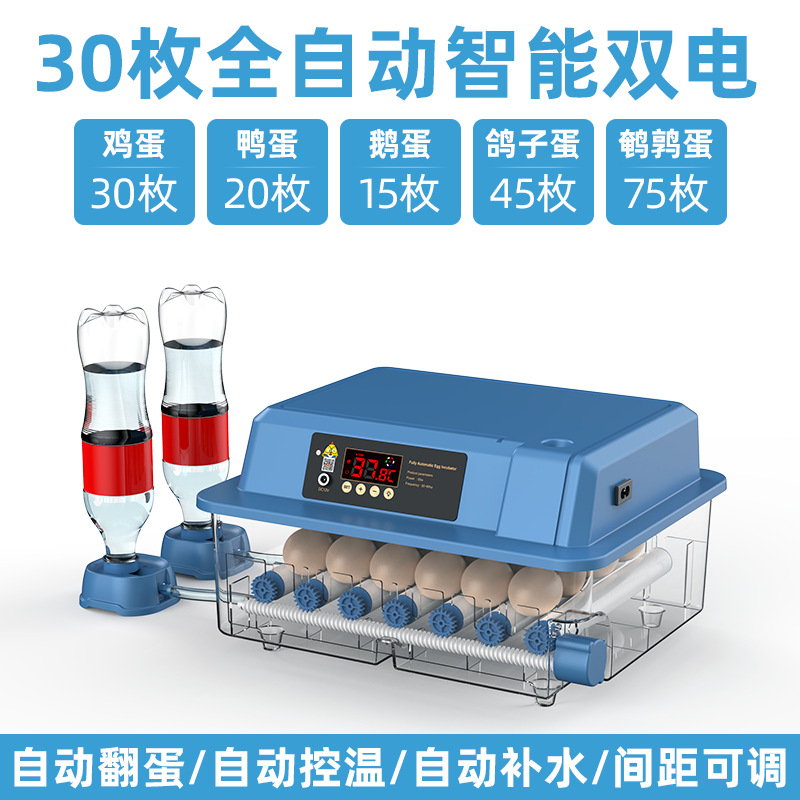 Incubadora de Huevos Inteligente para Codornices, Máquina de Incubación Inteligente para Cría de Aves, Fabricante Original