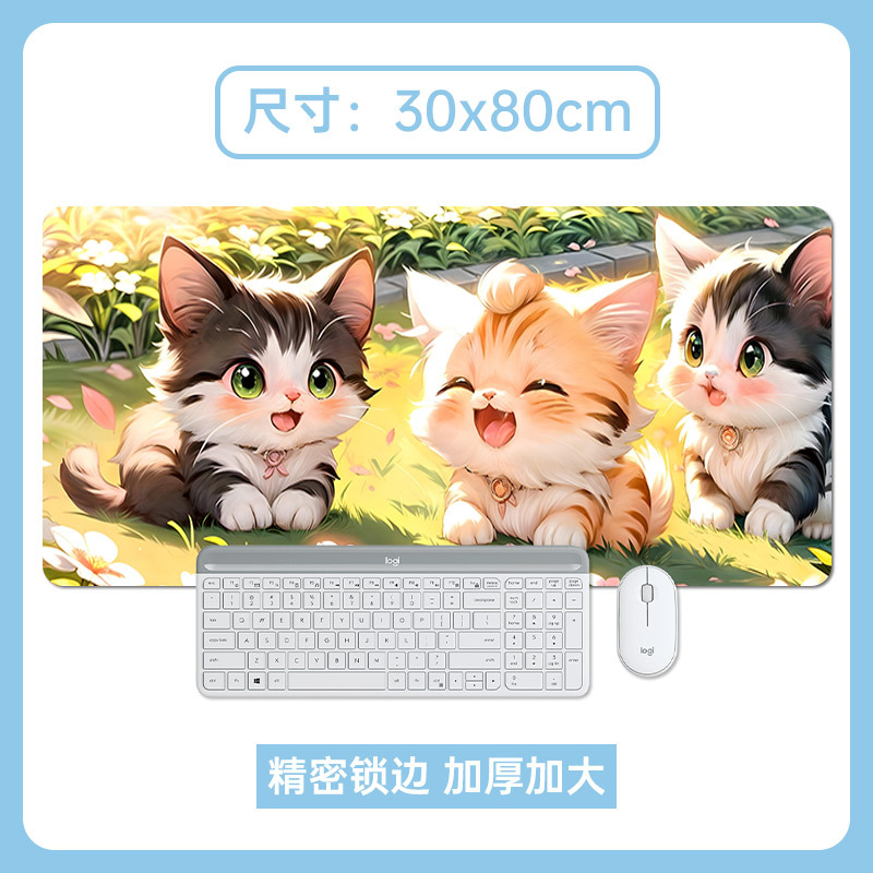 구애 고양이