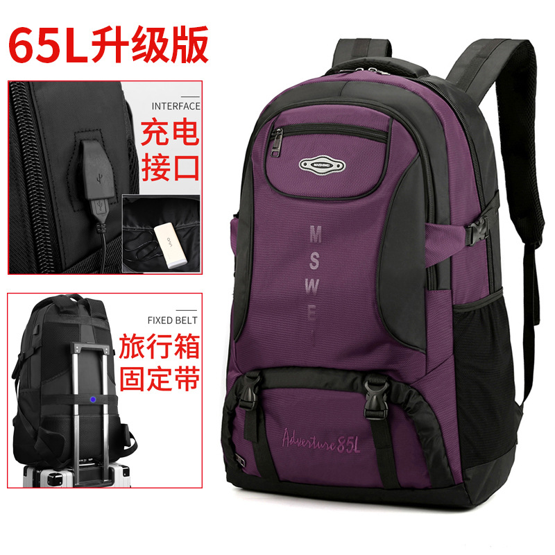 라지 [퍼플 65L]]