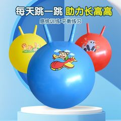 45CM儿童感统训练羊角球幼儿园小朋友家用充气平衡玩具弹跳球
