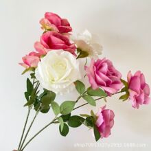 ��֧õ����滨õ�廨����Ҿӵ��߼ٻ������Y��c�b[�����l
