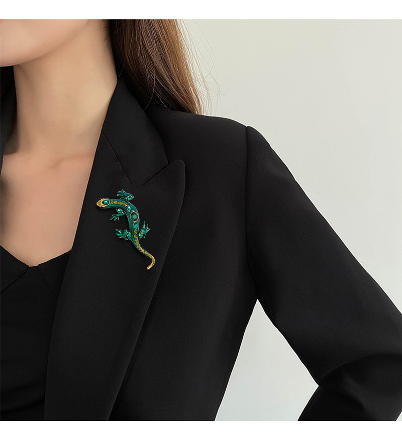 Retro Streetwear Lizard Alloy Inlay Zircon Unisex Brooches display picture 4