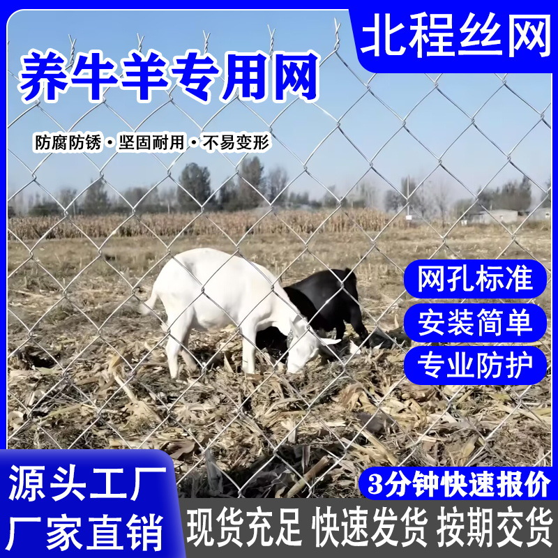 养殖勾花网农场圈地安全防护隔离铁丝加粗冷热镀锌勾花网现货厂家