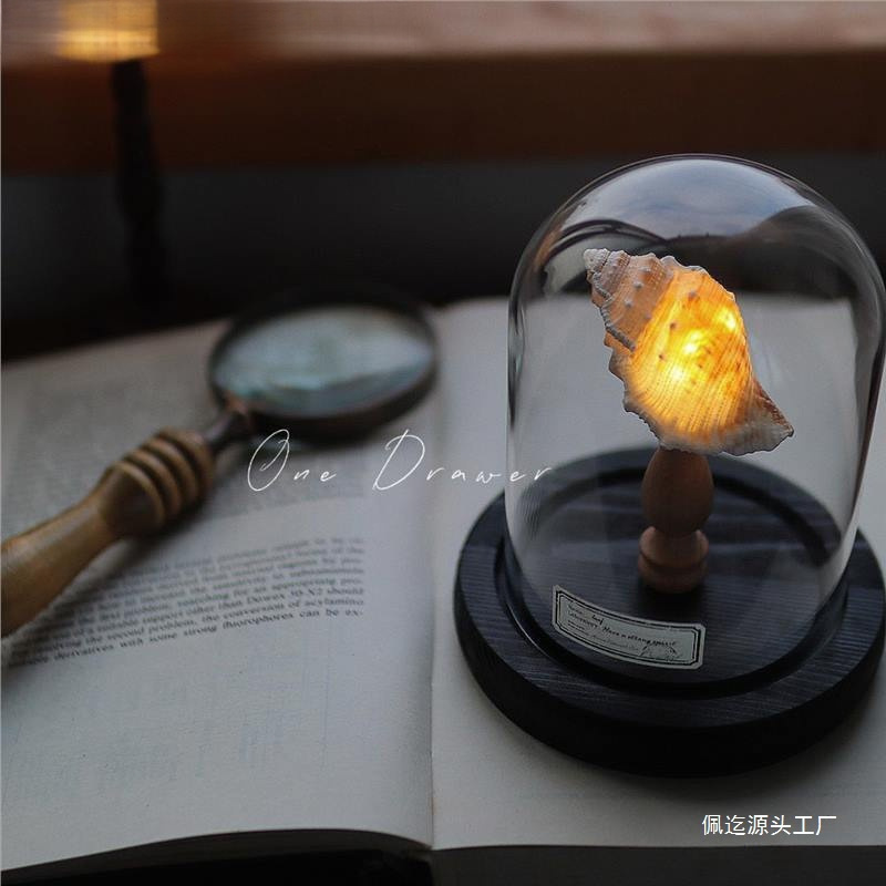 海洋海岛复古贝壳海胆海螺灯小夜灯摆件手工diy材料包中秋节礼物|undefined