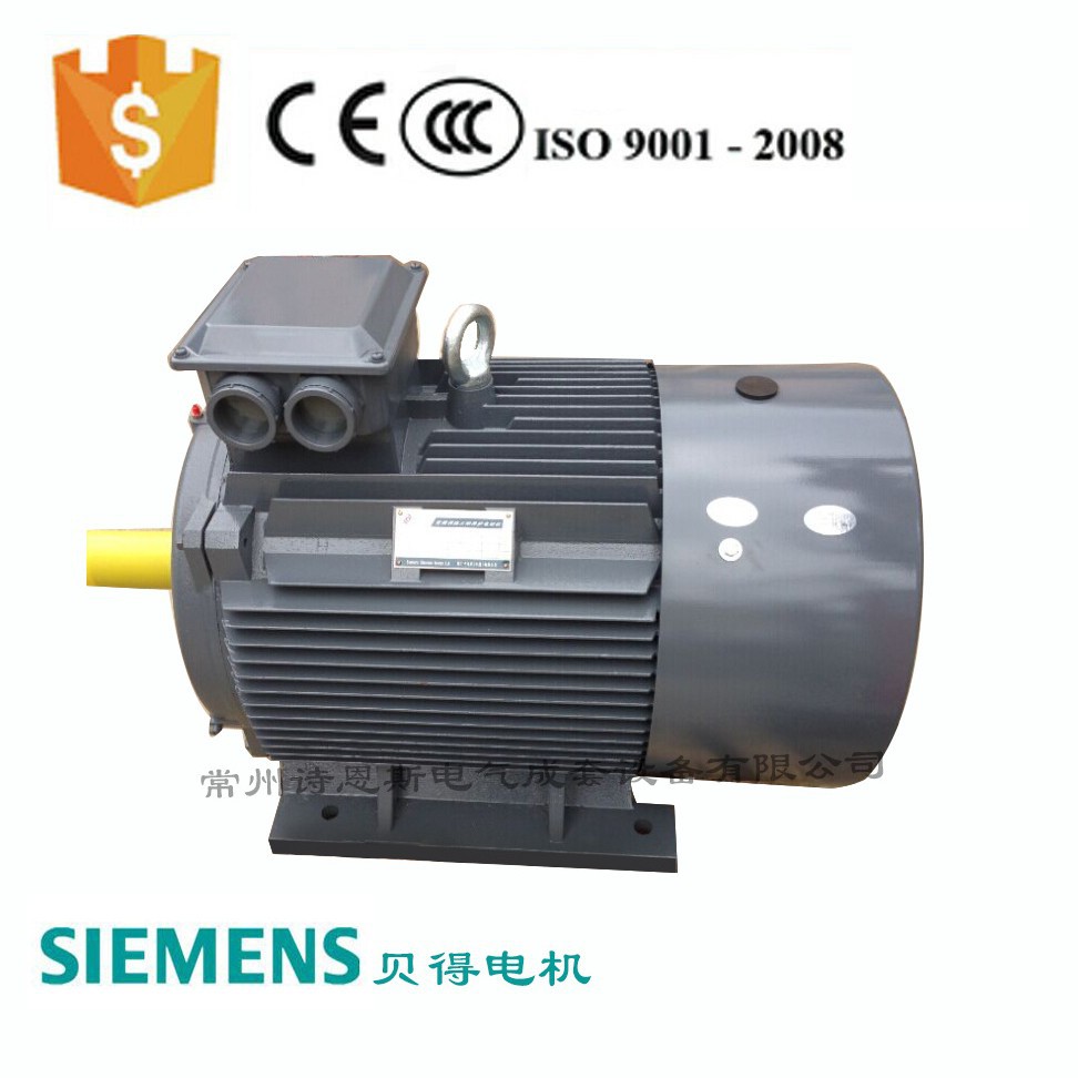 西门子贝得电机 55KW 2P 4P 6P 8P可选 BM变频调速三相异步马达