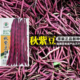 ժ�������϶��ϼtܿ���ǲ˶��߲˺��������r��ˈ@�߮a���϶��N��