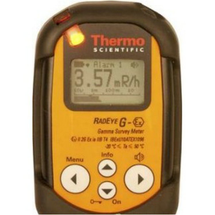 美国termo热电FHT40NBR高灵敏度x,γ剂量率仪套装（顺丰包邮）