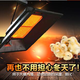 �Bֳ��С�u���r�����������r�㱣�؂㱣����ȫ�Ԅ��Bֳ�Ӝر�ů��