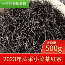 2023괺踣tС˲tҰ퍴ɢb500gSl