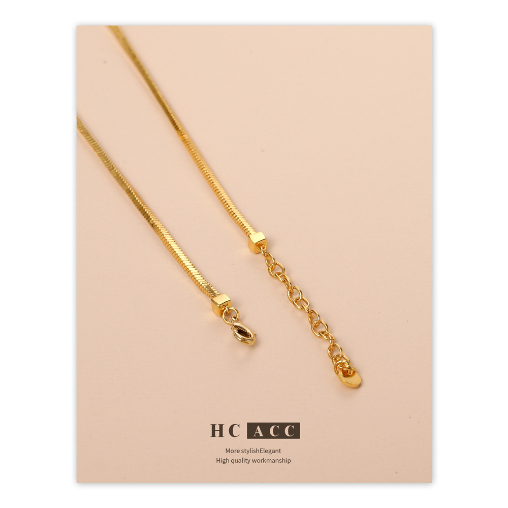 european-and-american-style-light-luxury-snake-bone-chain-necklace-ins-blogger-same-style-simple-cold-style-short-blade-chain-snake-bone-chain