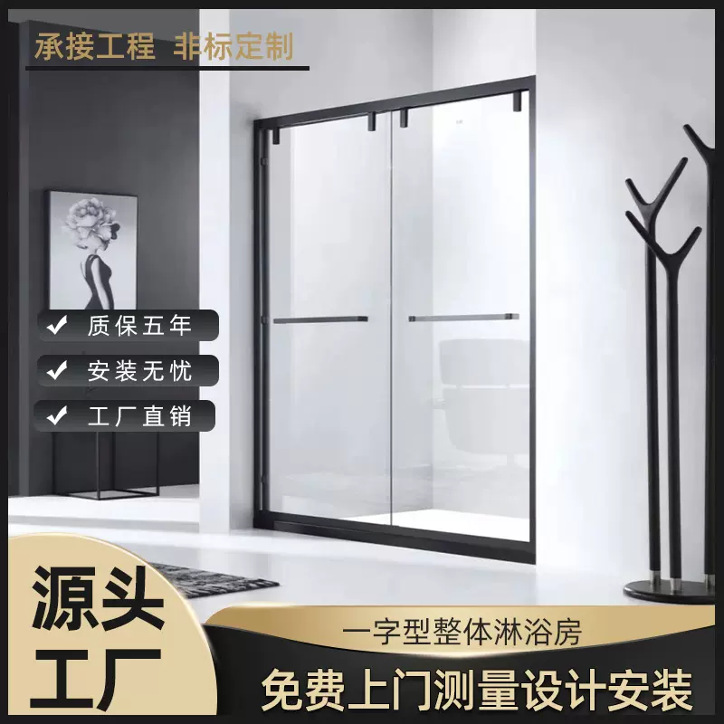 家用一字型整体淋浴房现代简约干湿分离沐浴室厕所卫生间隔断浴房