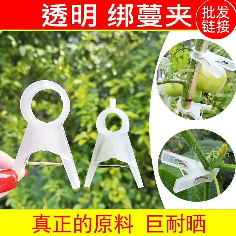 Подвесной зажим для рассады теплица огурец помидор висячий зажим для рассады помидор сельскохозяйственная подвесная лоза, опора для виноградной лозы Виноградный зажим падение зажим для рассады