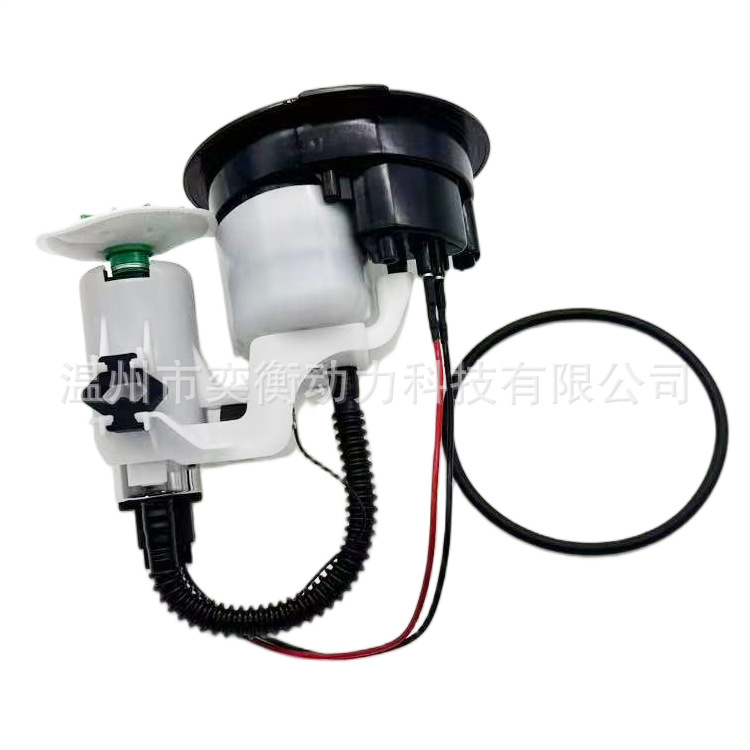 Cross-border applicable 7710721 BMW motorcycle S1000RR.S1000K46 2009-2014 model fuel pump