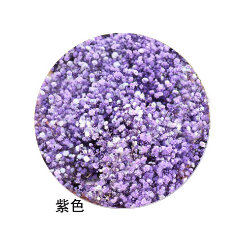 ネイルアートの乾いた花の永遠の命の満天の星の花束は顔の化粧の爪のアクセサリーの光を貼ることができます。|undefined
