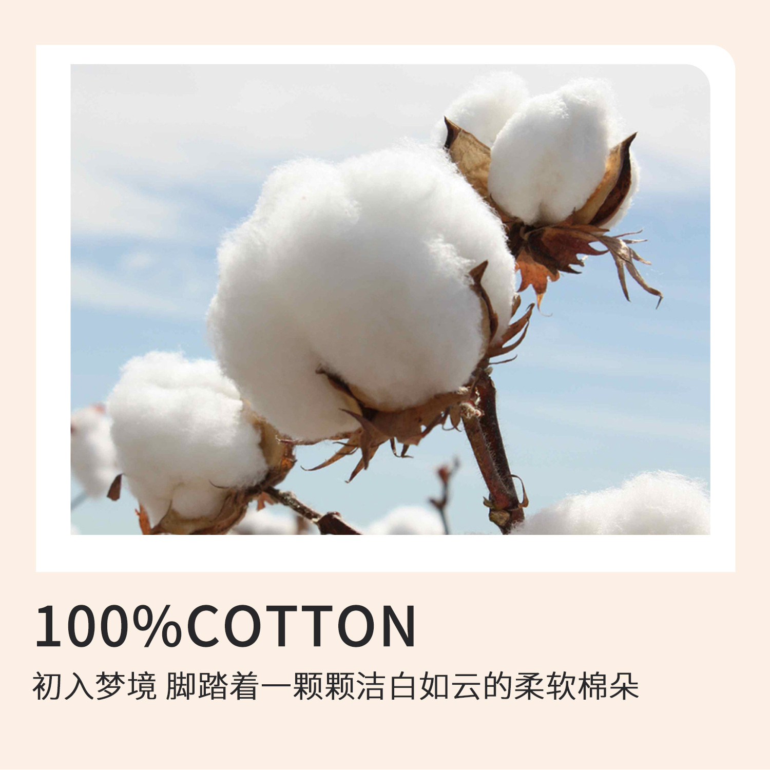 Sábanas de dibujos animados de algodón puro 1 pieza engrosada 100 dormitorio de algodón 1 edredón doble individual funda de almohada de tres piezas 2025 nuevo 3