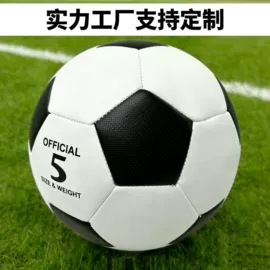 足球;篮球;排球