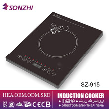 ���ܵ��¯���ҳ�����ó110v���õ������������induction cooker