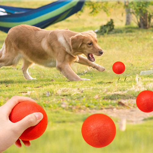 Pet Toy Ball Wholesale Teeth Resistant Solid Ball Teddy Golden Retriever Training Interactive Basketball Softball Dog Toy