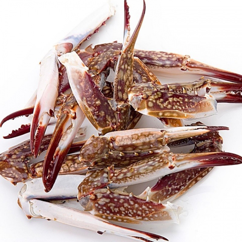 Heliconia Fresh Freezing Shuttle Crab legs Crab legs fresh Pliers Lianyungang wholesale factory wholesale