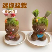 Кукла с головой из травы, голова для полива с травой, зеленое растение с длинными волосами, легко ухаживать за детьми, посадка травы, настольное маленькое горшечное растение в детском саду.