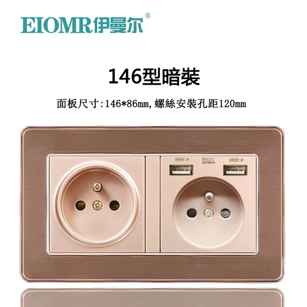 [G41金法式+法式双USB]