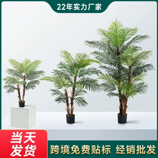 厂家批发仿真散尾葵仿真绿植盆栽天竺葵高端客厅装饰造景吉祥摆件