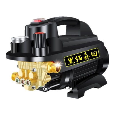Car washing machine Household 220v High-Power Water