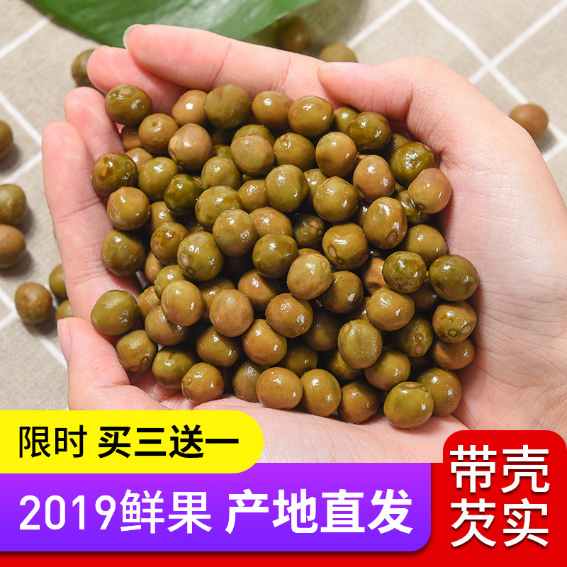 Fresh Euryale Seed Qian Shi 500g Bag Large Grade Tianchang Gorgon Fruit for Cooking and Congee overview