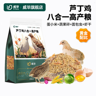 �J���u������Ϯa���µ��Zʳ�����߲����_�����u���r�R���uʳ�Z