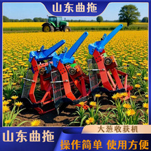 田园大蒜土豆地瓜花生收获机马铃薯红薯大蒜多功能振动筛厂家