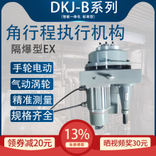 �����ͽ��г�늄ӈ��ЙC��DKJ-210B�_�P��4~20mA�L�y�y�T������