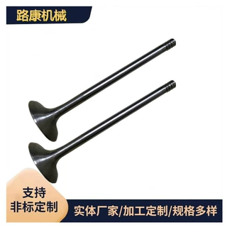 生产厂家 进排气门 型号全 俄系 一手货源7406-1007010-02