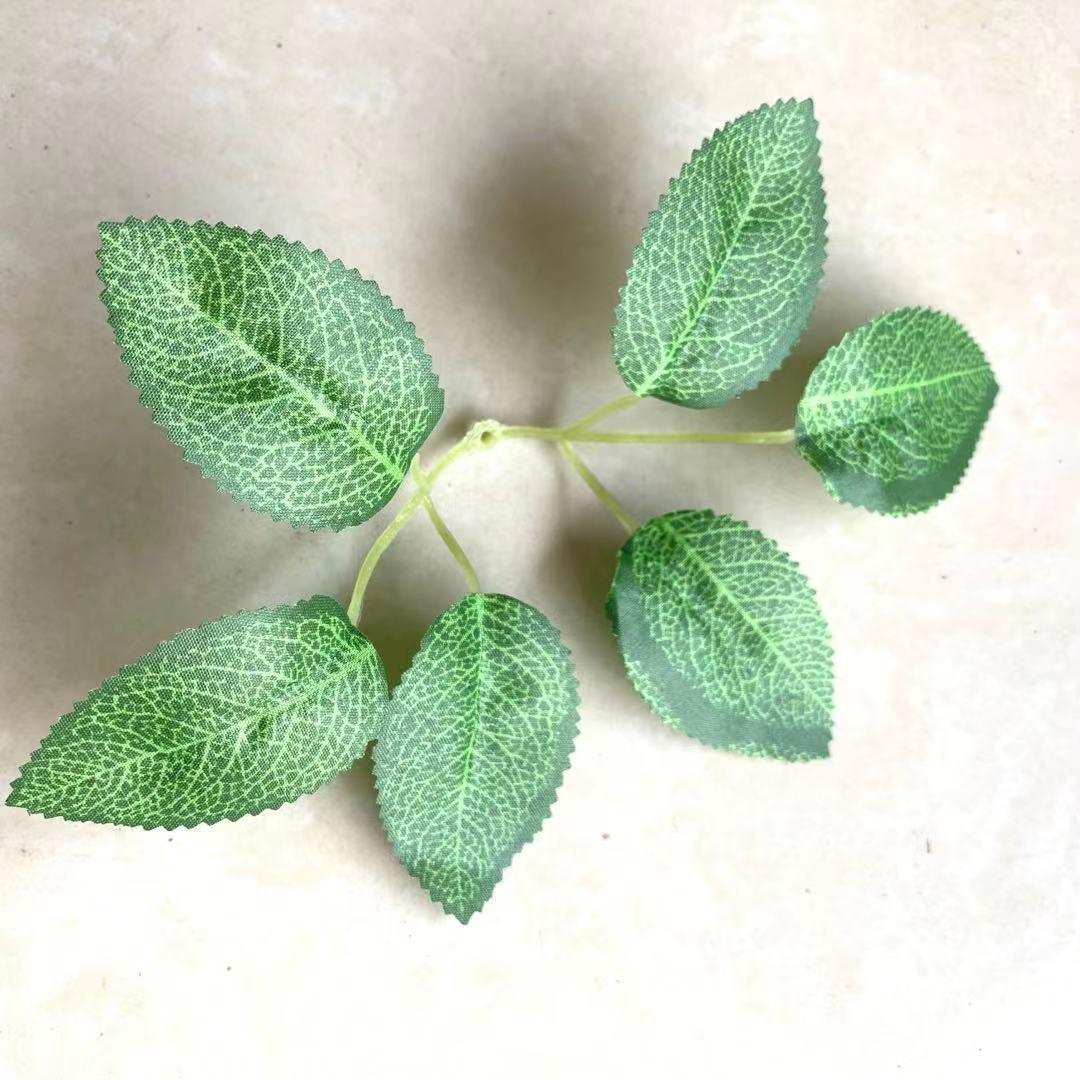 微信图片_202108241601349