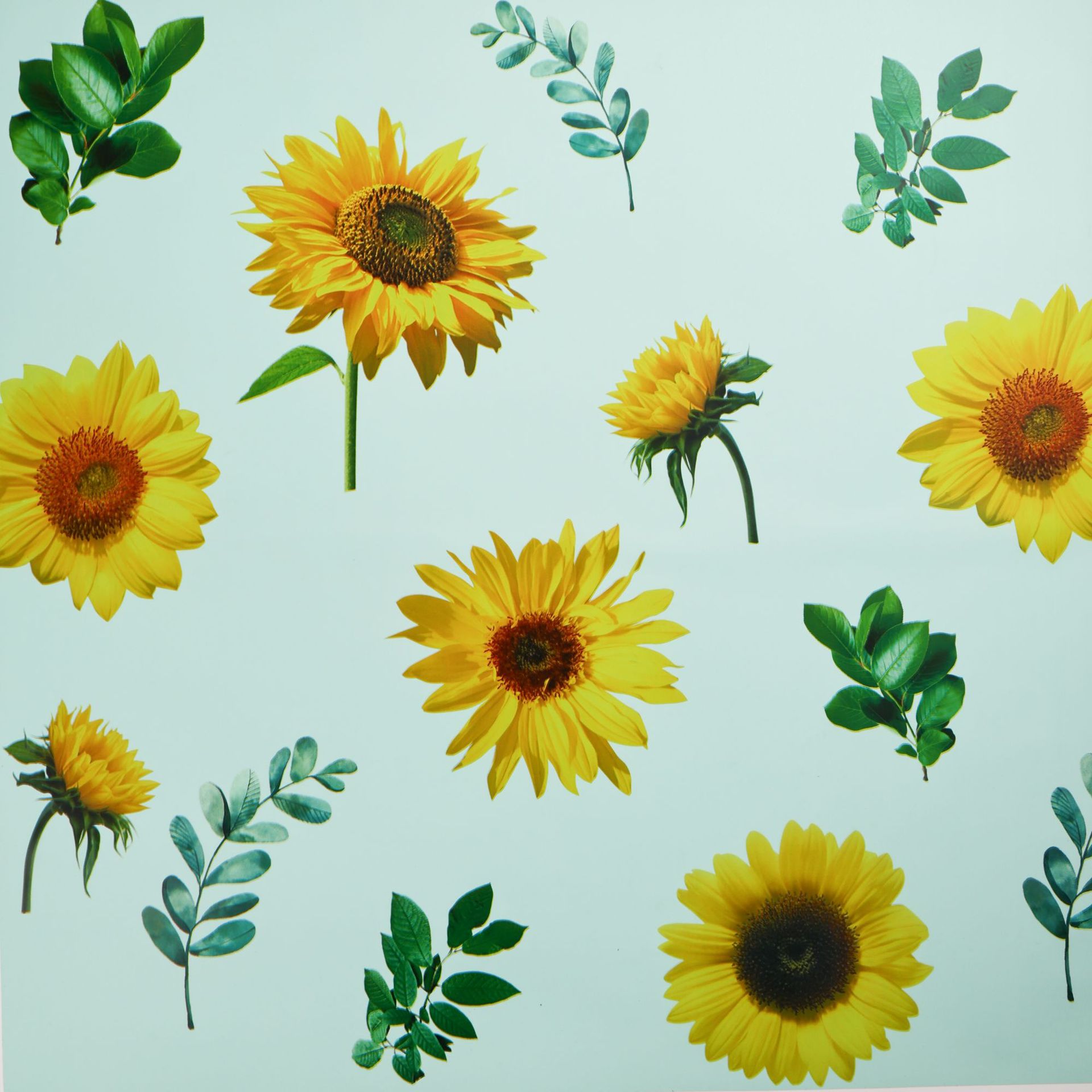 릴리 그린;57x57cm±5%