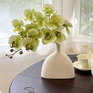 �p�ݺ����m���滨�͏d�[�Ż����z��ƿins�L���ֵ���P���Ҕ[����