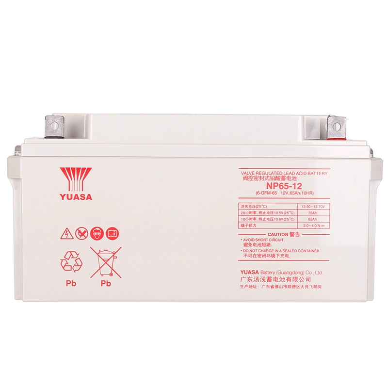 ，NP65-12，（），12V，65AH，EPS