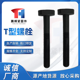 T����˨T���ݗU���^�ݽz8.8�ߏ���T�ΰl�ڰ��T��̼��ݼy