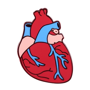 Real Anatomical Heart Body Organ Brooch Spooky Goth Medical Jewelry
