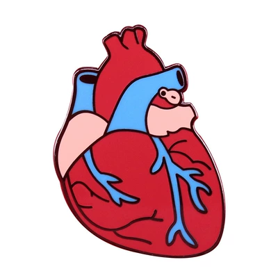 Real Anatomical Heart Body Organ Brooch Spooky Goth Medical Jewelry