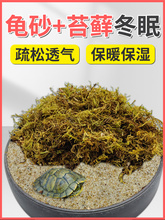 乌龟冬眠专用沙子龟缸造景河沙龟沙孵蛋过冬沙细沙爬宠干苔藓垫材