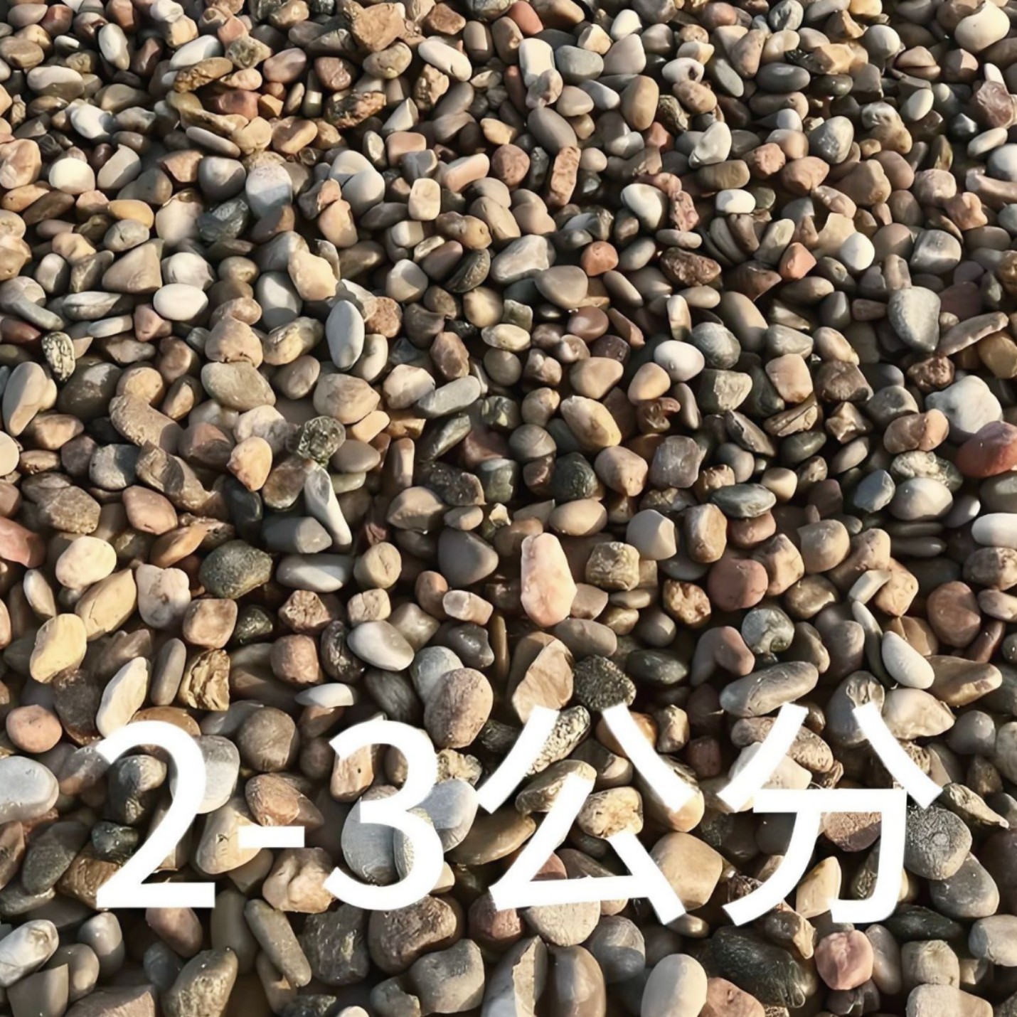 2-3cm