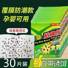 苍蝇贴粘蝇纸自带诱饵粘蝇板家用粘蚊子