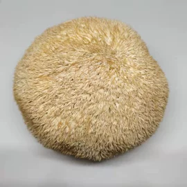 银耳;猴头菇;其他干货