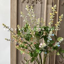 3����β�� С������Ȼϵ���滨���K��С�黨ܛ�b�ˇ�仨 �羳